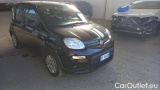  Fiat  Panda 1.0 FireFly 70cv S&S Hybrid #2