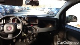  Fiat  Panda 1.0 FireFly 70cv S&S Hybrid #5