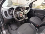  Fiat  Panda 1.0 FireFly 70cv S&S Hybrid Manual Petrol  11 #14