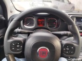  Fiat  Panda 1.0 FireFly 70cv S&S Hybrid Manual Petrol  11 #20