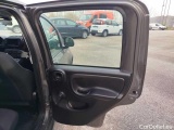  Fiat  Panda 1.0 FireFly 70cv S&S Hybrid Manual Petrol  11 #37