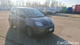  Fiat  Panda 1.0 FireFly 70cv S&S Hybrid #2