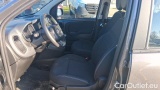  Fiat  Panda 1.0 FireFly 70cv S&S Hybrid #5