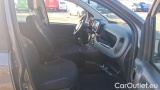  Fiat  Panda 1.0 FireFly 70cv S&S Hybrid #6