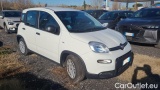 Fiat  Panda 1.0 FireFly 70cv S&S Hybrid #2
