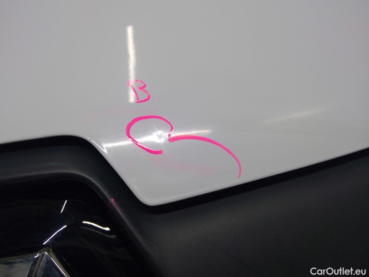  Renault  Kangoo Kang.Ex.ZE L2 Batt.Buy #17