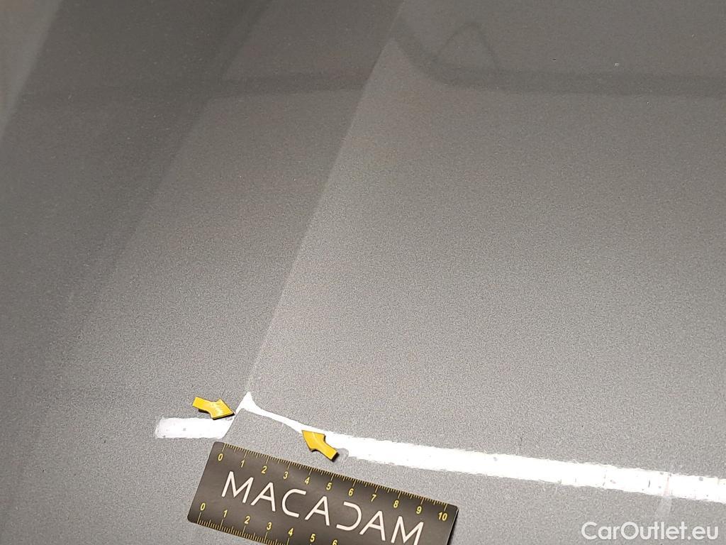  Skoda  Octavia  Break Business 2.0 TDI 115CV BVM6 E6d #17