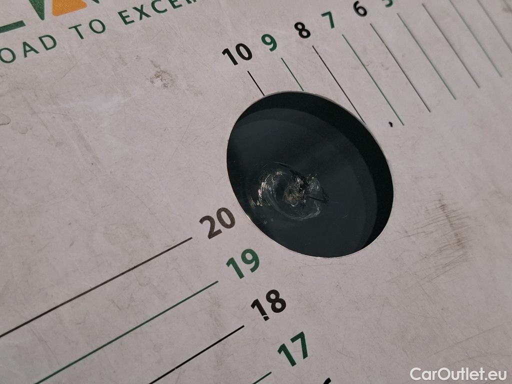  Skoda  Kodiaq  Business 2.0 TDI 150CV BVA7 E6d #2