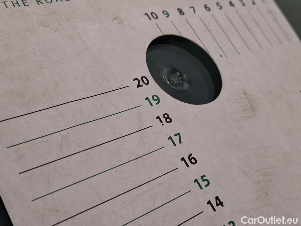  Skoda  Kodiaq  Business 2.0 TDI 150CV BVA7 E6d #19