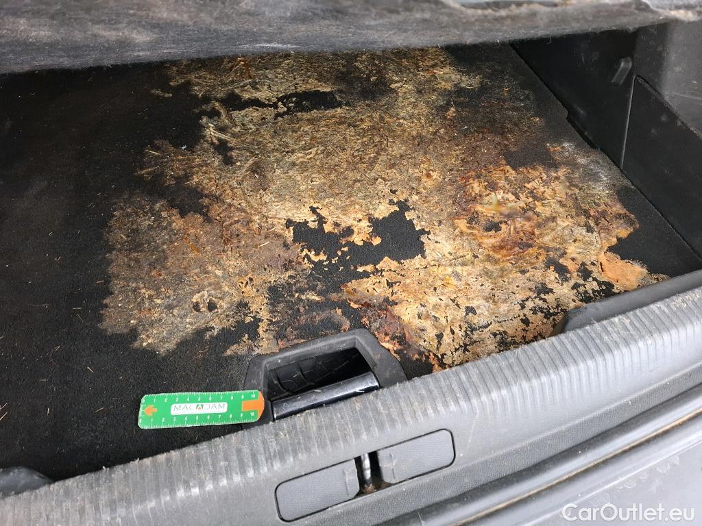  Peugeot  2008  Allure Business 1.5 HDi 110CV BVM6 E6d #28