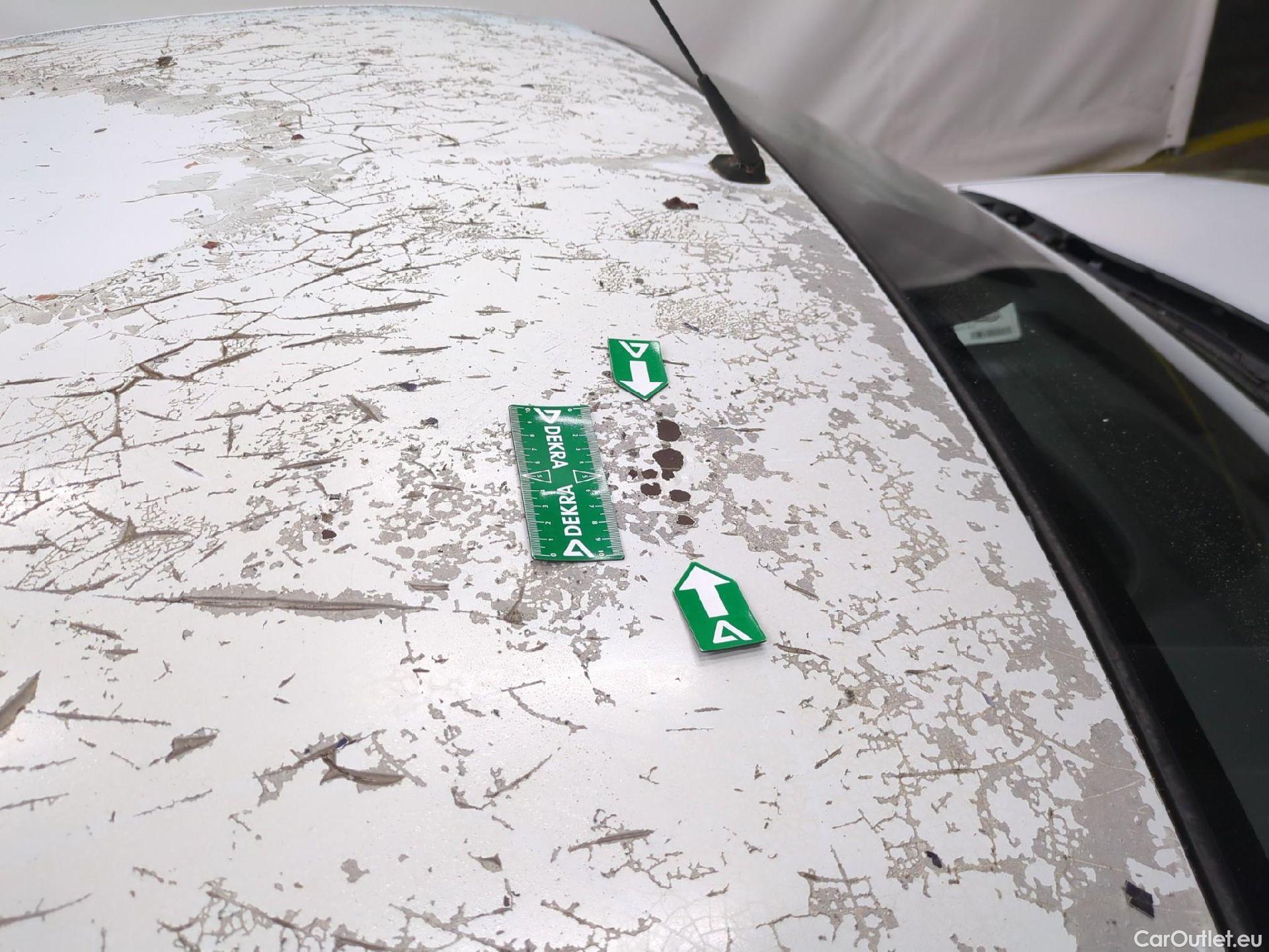  Renault  Kangoo  II Express Extra (Série Spéciale) 1.5 dCi 110CV BVA6 E6 #35