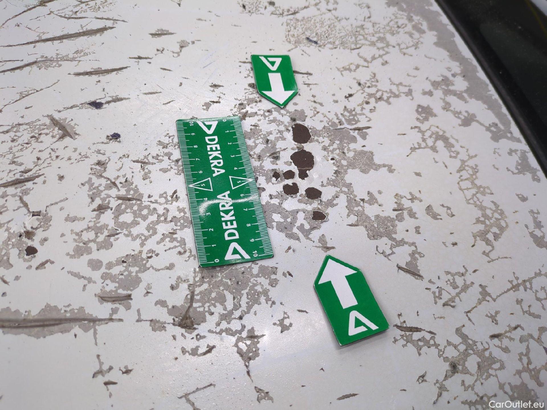  Renault  Kangoo  II Express Extra (Série Spéciale) 1.5 dCi 110CV BVA6 E6 #36