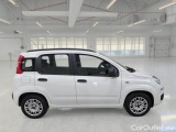  Fiat  Panda FIAT  / 2011 / 5P / BERLINA 1.2 69CV EASYPOWER E6 EASY #7