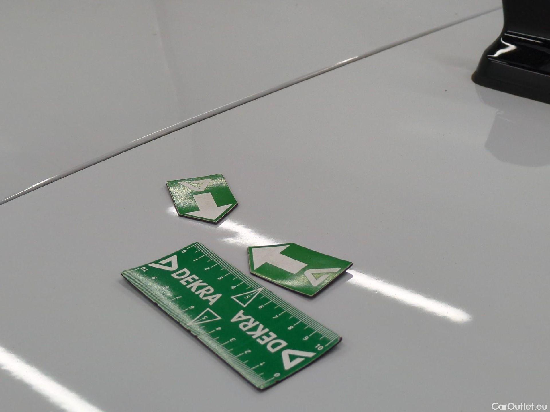  Skoda  Octavia  Break Business 2.0 TDI 150CV BVA7 E6d / TRANSFO VP/VF #16