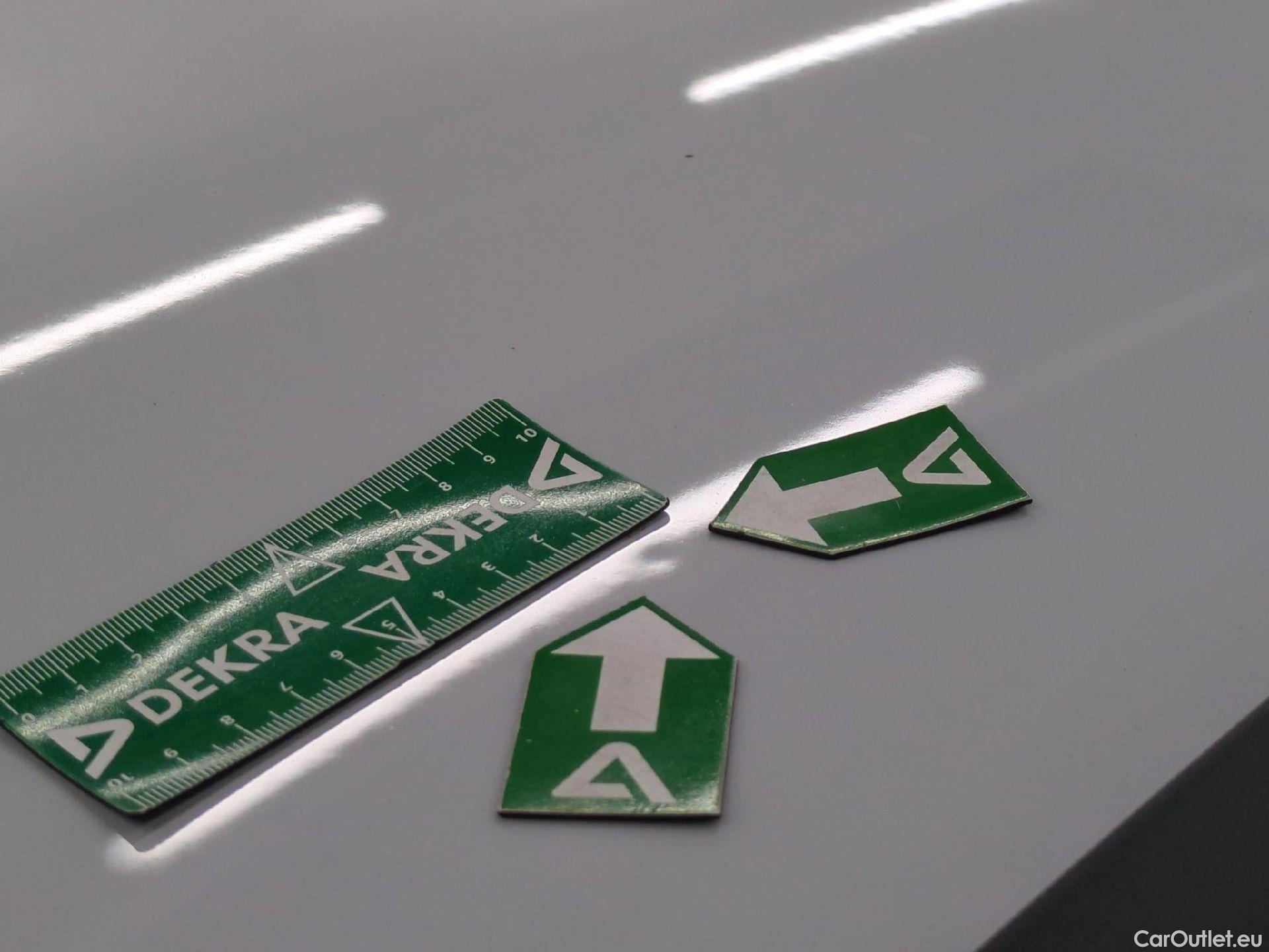  Skoda  Octavia  Break Business 2.0 TDI 150CV BVA7 E6d / TRANSFO VP/VF #13