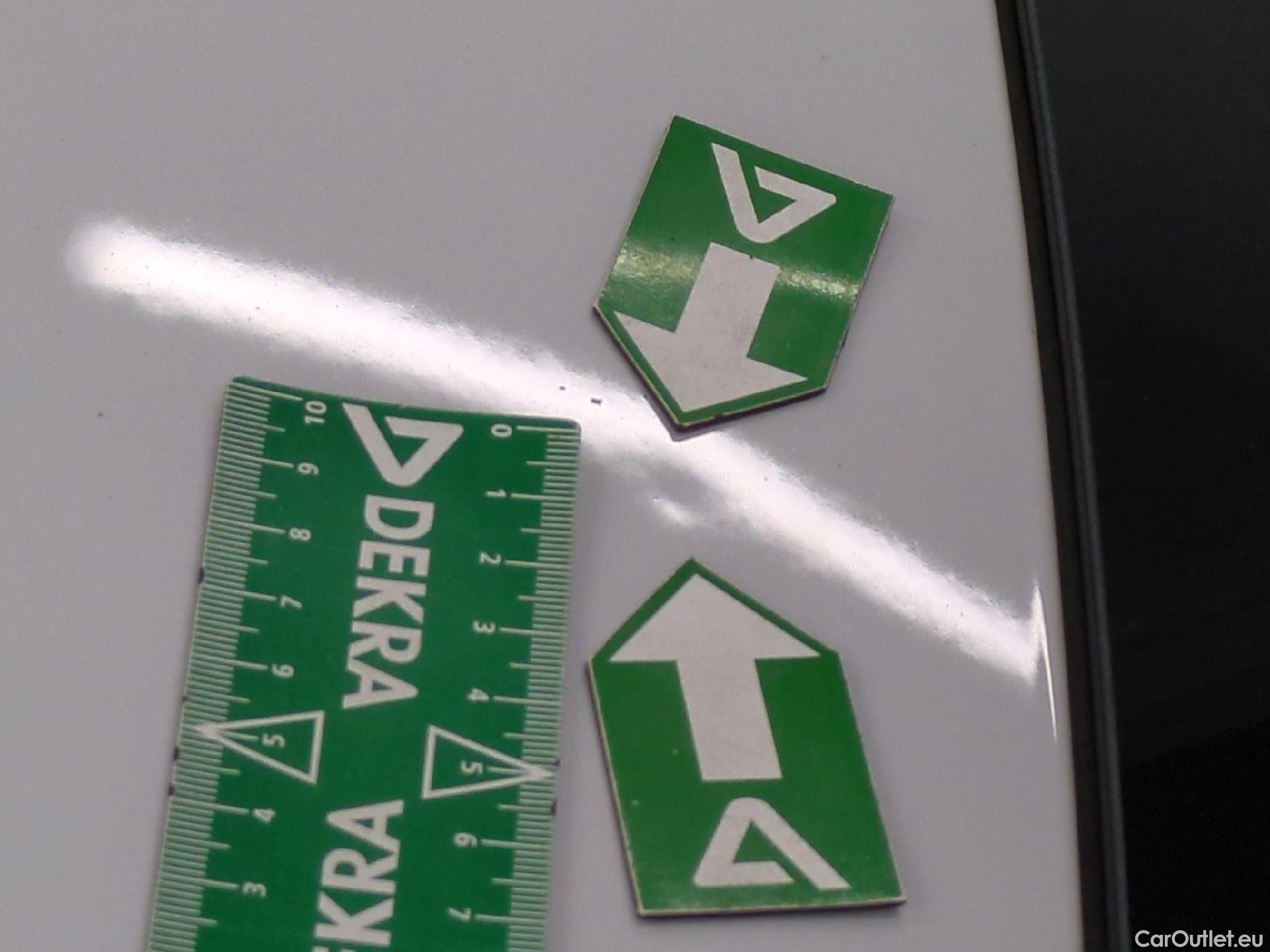  Skoda  Octavia  Break Business 2.0 TDI 150CV BVA7 E6d / TRANSFO VP/VF #14