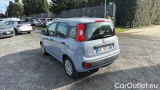  Fiat  Panda 1.0 FireFly 70cv S&S Hybrid #3