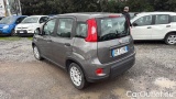  Fiat  Panda 1.0 FireFly 70cv S&S Hybrid #3