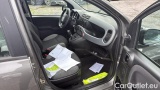  Fiat  Panda 1.0 FireFly 70cv S&S Hybrid #5