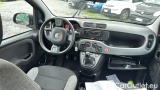  Fiat  Panda 1.0 FireFly 70cv S&S Hybrid #6