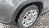  Fiat  Panda 1.0 FireFly 70cv S&S Hybrid #20