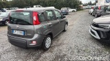  Fiat  Panda 1.0 FireFly 70cv S&S Hybrid #4