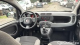  Fiat  Panda 1.0 FireFly 70cv S&S Hybrid #6