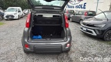  Fiat  Panda 1.0 FireFly 70cv S&S Hybrid #10