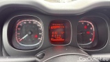  Fiat  Panda 1.0 FireFly 70cv S&S Hybrid #12
