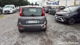  Fiat  Panda 1.0 FireFly 70cv S&S Hybrid #16