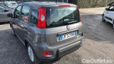  Fiat  Panda 1.0 FireFly 70cv S&S Hybrid #3