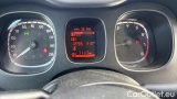  Fiat  Panda 1.0 FireFly 70cv S&S Hybrid #13