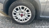  Fiat  Panda 1.0 FireFly 70cv S&S Hybrid #14