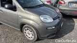  Fiat  Panda 1.0 FireFly 70cv S&S Hybrid #18