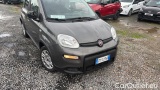 Fiat  Panda 1.0 FireFly 70cv S&S Hybrid #2