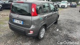  Fiat  Panda 1.0 FireFly 70cv S&S Hybrid #4