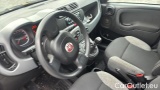  Fiat  Panda 1.0 FireFly 70cv S&S Hybrid #7