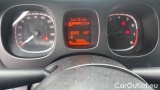  Fiat  Panda 1.0 FireFly 70cv S&S Hybrid #13