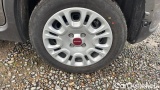  Fiat  Panda 1.0 FireFly 70cv S&S Hybrid #14