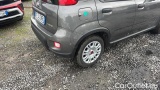  Fiat  Panda 1.0 FireFly 70cv S&S Hybrid #25