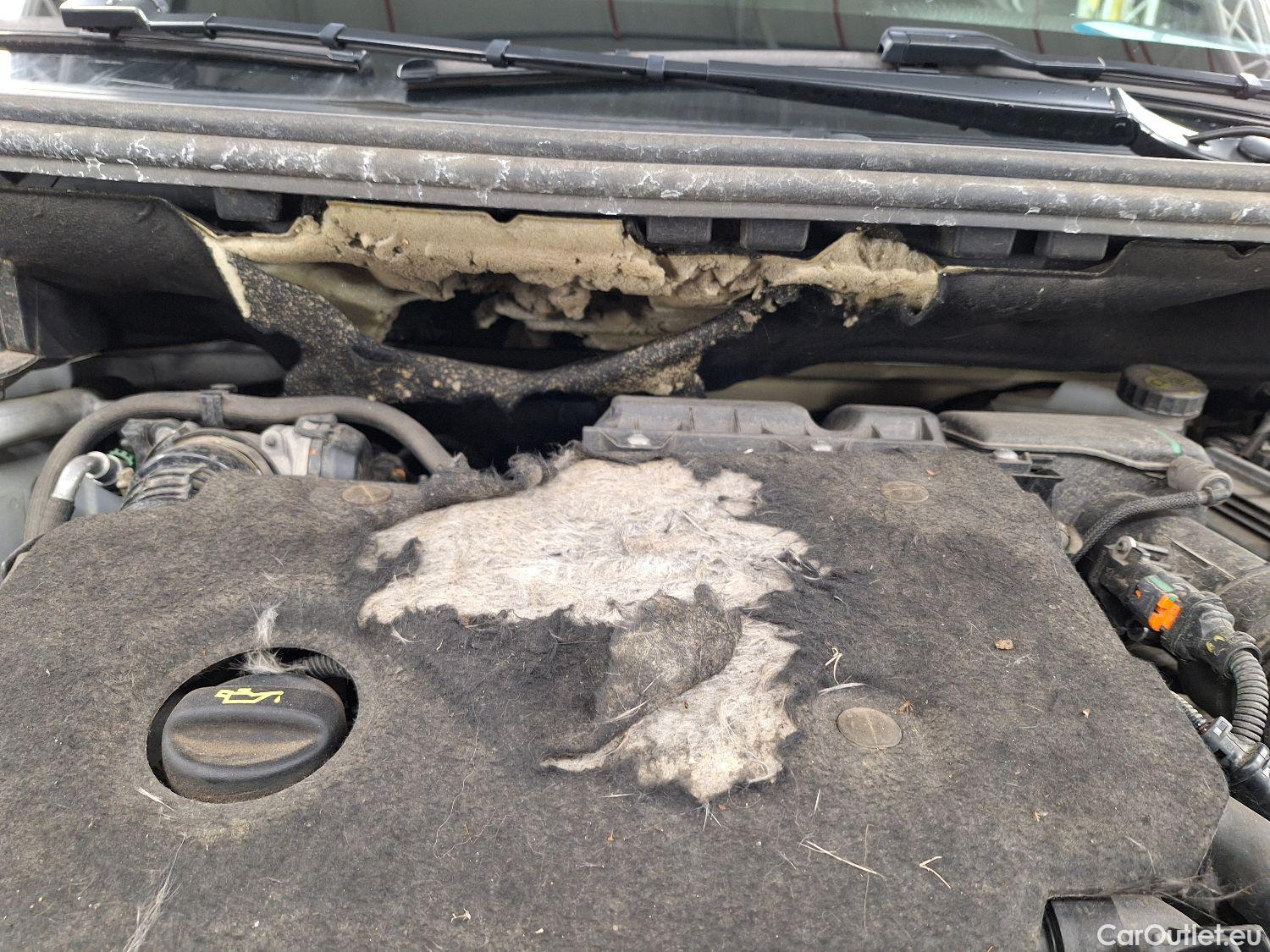  Peugeot  3008 Peugeot,  FL'20, Peugeot  1.5 BlueHDi 96kW S&S EAT8 GT 5d #2