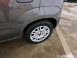  Fiat  Panda FIAT  / 2011 / 5P / BERLINA 1.0 FIREFLY 70CV SeS HYBRID #42