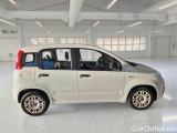  Fiat  Panda FIAT  / 2011 / 5P / BERLINA 1.0 70CV SeS HYBRID #7