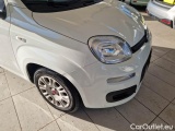  Fiat  Panda FIAT  / 2011 / 5P / BERLINA 1.0 70CV SeS HYBRID #31