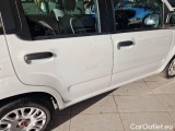  Fiat  Panda FIAT  / 2011 / 5P / BERLINA 1.0 70CV SeS HYBRID #36