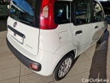  Fiat  Panda FIAT  / 2011 / 5P / BERLINA 1.0 70CV SeS HYBRID #41