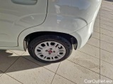  Fiat  Panda FIAT  / 2011 / 5P / BERLINA 1.0 70CV SeS HYBRID #62