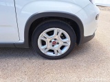  Fiat  Panda FIAT  / 2011 / 5P / BERLINA 0.9 TWINAIR TURBO 85CV E6 SeS 6M 4X4 #17