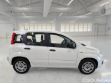  Fiat  Panda FIAT  / 2011 / 5P / BERLINA 1.2 69CV SeS E6D-TEMP EASY #7