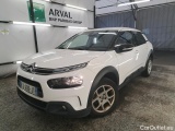 C4 Cactus